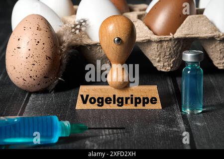 Allemagne - 02 juillet 2024 : virus H5N1 - grippe aviaire sur un timbre à côté d'une boîte d'oeufs et oeufs d'un oiseau ou d'une poule. Seringue avec vaccin ou vaccination contre le virus de la grippe A. Symbolise la recherche sur la maladie et l'endiguement d'une éventuelle pandémie. PHOTOMONTAGE *** virus H5N1 - Vogelgrippe auf einem Stempel neben Eierschachtel und Eier eines Vogels, bzw. Huhns. Eine Spritze mit Impfstoff bzw. Impfung gegen influenza-A-virus. Symbolisiert Forschung zur Erkrankung und Eindämmung einer möglichen Pandemie. FOTOMONTAGE Banque D'Images