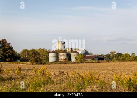 Scène agricole rustique - ciel bleu clair, champ labouré au premier plan, ligne d'arbres avec feuillage d'automne - trois silos. Prise à Toronto, Canada. Banque D'Images