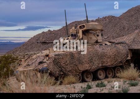 Le véhicule de combat M2A3 Bradley de l'armée américaine affecté au quartier général de la 1st Armored Brigade et à la Compagnie du quartier général de la 1st Armored Brigade combat Team, 1st Armored Division, assure la sécurité au National Training Center, Fort Irwin, Californie, le 6 février 2024. (Photo de l'armée américaine par le SPC David Poleski) Banque D'Images