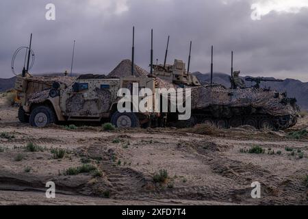 Les soldats de l'armée américaine affectés au quartier général de la 1st Armored Brigade et à la Compagnie du quartier général de la 1st Armored Brigade combat Team, 1st Armored Division, assurent la sécurité au National Training Center, Fort Irwin, Californie, le 6 février 2024. (Photo de l'armée américaine par le SPC David Poleski) Banque D'Images