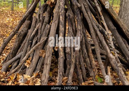 Abri forestier fait à la main construit avec des bâtons - niché parmi les arbres - cadre forestier d'automne - tapissé de feuilles mortes. Prise à Toronto, CAN Banque D'Images