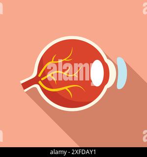 Illustration présentant la structure anatomique d'un œil humain soumis à une procédure de correction de la vision au laser Illustration de Vecteur