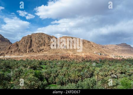 Des palmiers luxuriants entourent des bâtiments en briques de boue contre d'imposantes falaises sous un ciel dynamique. Capturé dans les Gorges du Todra, Maroc. Banque D'Images