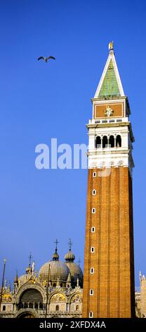 Tous Marks Campanile Campanile, Venise, Italie Banque D'Images