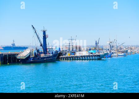 San Diego, Californie - 16 avril 2024 : bateaux de pêche amarrés dans le port avec de vastes eaux et la ville en arrière-plan. Banque D'Images