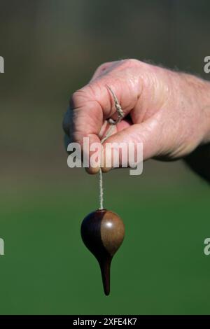 France, territoire de Belfort, Rougegoutte, Meadow, Denis Boyer, dowser, recherche d'eau souterraine, pendule Banque D'Images