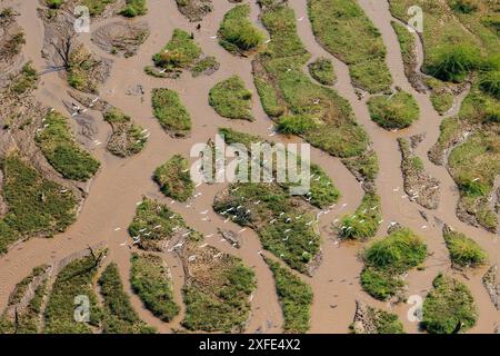 Kenya, Lac Magadi, estuaire d'eau douce entrant dans le lac après de fortes pluies (vue aérienne) Banque D'Images