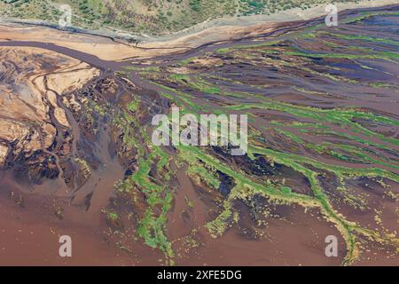 Kenya, Lac Magadi, estuaire d'eau douce entrant dans le lac après de fortes pluies (vue aérienne) Banque D'Images