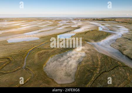France, somme, Baie de somme, le Crotoy, les mollières près du Crotoy dans la brume matinale (vue aérienne) (vue aérienne) Banque D'Images