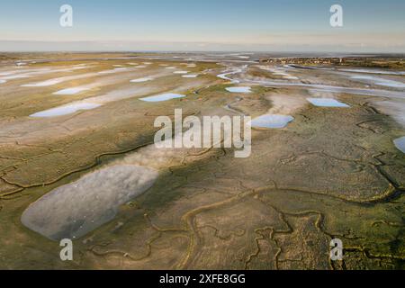 France, somme, Baie de somme, le Crotoy, les mollières près du Crotoy dans la brume matinale (vue aérienne) (vue aérienne) Banque D'Images