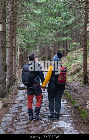 Un homme et une femme mûrs avec des sacs à dos derrière le dos se tiennent les mains et marchent le long d'un sentier pédestre dans la forêt. Mode de vie actif après 50 ans. FAMI Banque D'Images