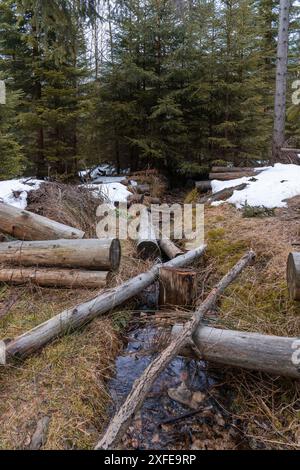 Forêt d'hiver avec un peu de neige, les arbres tombés se trouvent dans une petite rivière. Paysage hivernal. Montagnes Karkonosze en hiver, Pologne. Banque D'Images