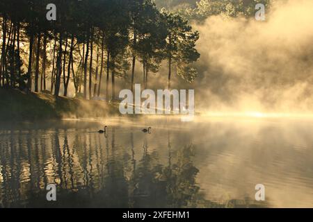 L'intégrité de la forêt et la nature du réservoir de Huai Pang tong à Pang Oung, projet de développement royal de Pang Tong Mae Hong son, Thaïlande Banque D'Images