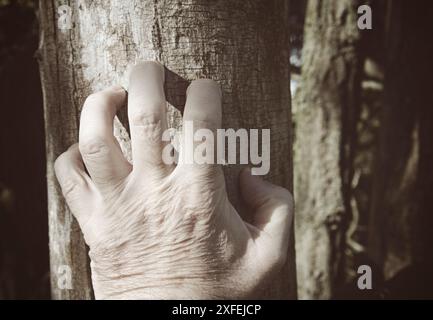 main mâle grattant l'écorce d'un arbre Banque D'Images