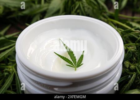 Crème cosmétique de cannabis dans un pot et une feuille de plante verte cosmétique naturelle. Banque D'Images