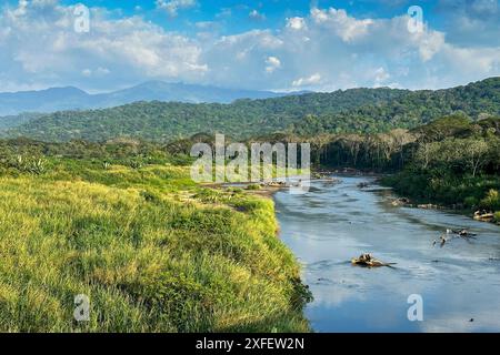 Cours naturel de la rivière Tarcoles, Costa Rica, Tarcoles Banque D'Images