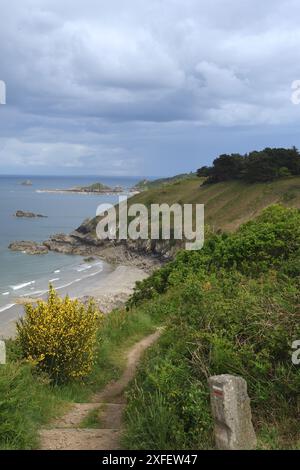 Chemin des douaniers le long de la côte bretonne à plage Bonaparte, sentier de randonnée côtier GR34, France, Bretagne, Plouha Banque D'Images