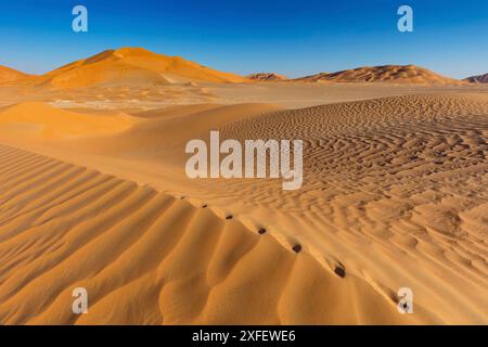 Rub al-Shali, le plus grand désert de sable sur terre, Oman, gouvernorat de Dhofar, Rub al-Chali, Salalah Banque D'Images