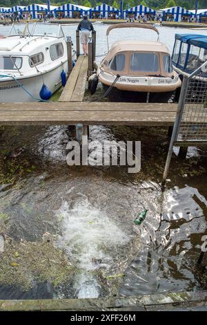 Un tuyau se déversant dans la Tamise à Henley, Oxfordshire près du site de la Henley Royal Regatta. Selon la BBC, des inquiétudes ont été soulevées au sujet des niveaux d'E. coli dans la Tamise avant la régate royale de Henley. Le groupe de campagne River action a déclaré que son échantillonnage de l'eau par des scientifiques citoyens près de Fawley Meadows a montré des «niveaux alarmants» de bactéries E. coli qui peuvent causer des infections graves. Thames Water, dont le propre échantillonnage a montré des niveaux plus faibles, a déclaré que l'étude était «alarmiste». Les organisateurs de régates ont émis des conseils aux participants sur la façon de « minimiser le risque de maladie dû à la proximité de Banque D'Images