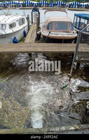 Un tuyau se déversant dans la Tamise à Henley, Oxfordshire près du site de la Henley Royal Regatta. Selon la BBC, des inquiétudes ont été soulevées au sujet des niveaux d'E. coli dans la Tamise avant la régate royale de Henley. Le groupe de campagne River action a déclaré que son échantillonnage de l'eau par des scientifiques citoyens près de Fawley Meadows a montré des «niveaux alarmants» de bactéries E. coli qui peuvent causer des infections graves. Thames Water, dont le propre échantillonnage a montré des niveaux plus faibles, a déclaré que l'étude était «alarmiste». Les organisateurs de régates ont émis des conseils aux participants sur la façon de « minimiser le risque de maladie dû à la proximité de Banque D'Images