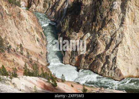 Yellowstone River Canyon Banque D'Images