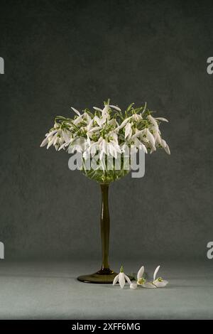 Bouquet blanc de gouttes de neige dans un verre vert. Nature morte du printemps Banque D'Images