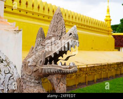 Statues et sculptures de Bouddha à Phra That Luang ou Phra Chedi Lokachulamanee est considéré comme un lieu de culte très important à Vientiane, Laos. Banque D'Images