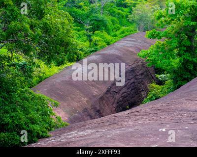 Un gros rocher au milieu d'une forêt dans le parc national de Phu Sing, Three Whale Rock ou Hin Sam Whales dans la province de Buegkan, Thaïlande. Banque D'Images