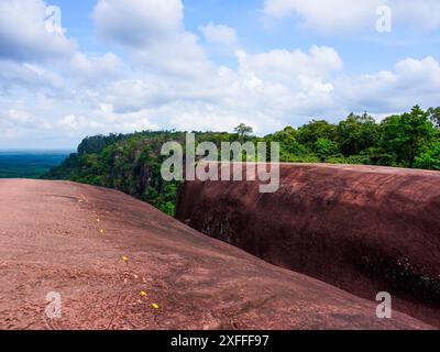 Un gros rocher au milieu d'une forêt dans le parc national de Phu Sing, Three Whale Rock ou Hin Sam Whales dans la province de Buegkan, Thaïlande. Banque D'Images