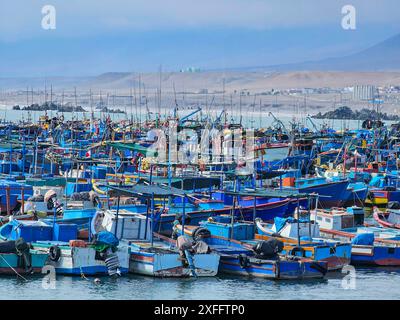 Port maritime avec de nombreux bateaux et navires, avec vue sur le port au coucher du soleil. Banque D'Images