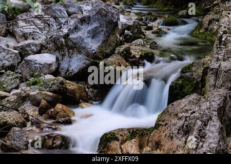 Ruisseau de forêt sur les roches moussues Banque D'Images