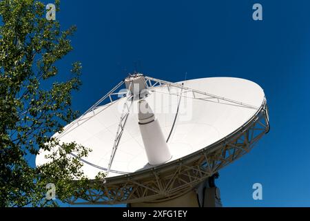 Une antenne parabolique avec un arbre sur la gauche, sous un ciel bleu clair. Banque D'Images