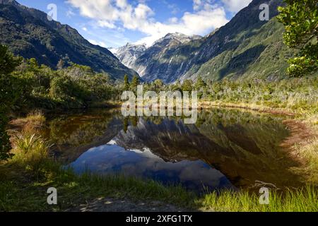 Île du Sud, Nouvelle-Zélande - le glacier Franz Josef et les montagnes se reflètent dans le lac vu d'un sentier en promenade dans le parc national Westland Tai Poutini Banque D'Images