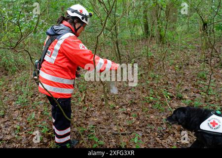 03 juillet 2024, Rhénanie-du-Nord-Westphalie, Hennef (SIEG) : un maître-chien de la Croix-Rouge vérifie la direction du vent à la périphérie de Satzvey tout en recherchant une fille disparue. L'écolière a disparu depuis lundi. Photo : Henning Kaiser/dpa Banque D'Images