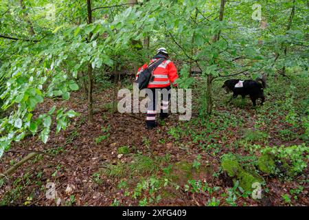 03 juillet 2024, Rhénanie-du-Nord-Westphalie, Hennef (SIEG) : un maître-chien de la Croix-Rouge et son chien recherchent une fille disparue dans la banlieue de Satzvey près de Mechernich. L'écolière a disparu depuis lundi. Photo : Henning Kaiser/dpa Banque D'Images