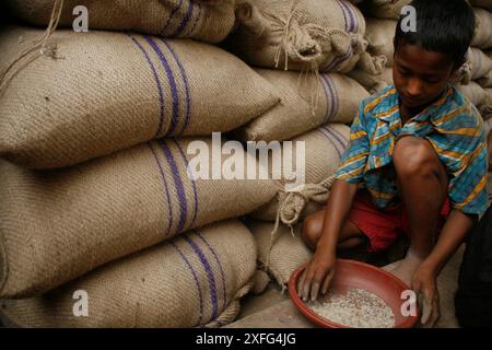 Un garçon ramasse les restes de riz au marché de gros de Badamtoli dimanche, incapable de se permettre les produits essentiels à cause de la flambée des prix. 06 avril 2008 Banque D'Images