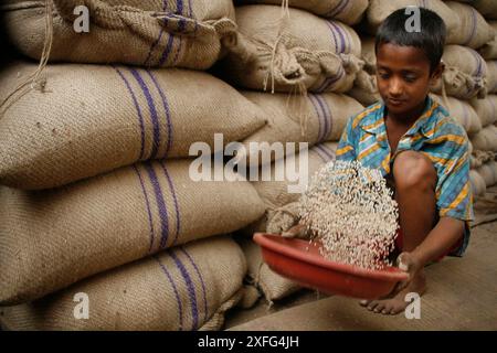 Un garçon ramasse les restes de riz au marché de gros de Badamtoli dimanche, incapable de se permettre les produits essentiels à cause de la flambée des prix. 06 avril 2008 Banque D'Images