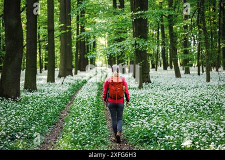 Randonneur explorant le sentier forestier fleuri au printemps. Femme aime son aventure dans la nature Banque D'Images
