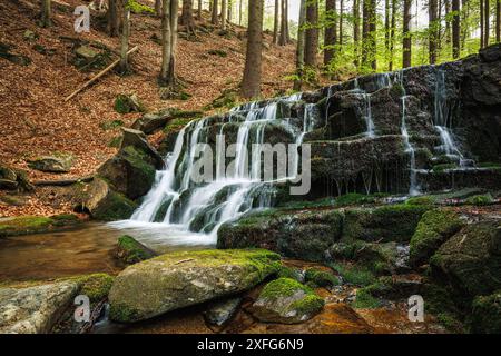 Cascade sur le ruisseau Hucava dans la forêt et les montagnes de Jeseniky, République tchèque. Beau paysage tranquille dans la nature Banque D'Images