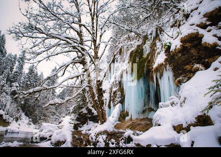 Cascade de glace, mousse, Schleierfälle, rivière Ammer, Bavière, Ammergau Alpes, glaçons, eau, réserve naturelle, papier peint, hiver, neige, gelé, froid, pittoresque Banque D'Images
