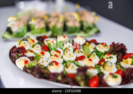 Assiettes de hors-d'œuvre colorées avec œufs dévorés décorés de fleurs comestibles en pâquerettes et de légumes frais Banque D'Images