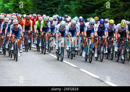 Saint Vulbas, France. 03 juillet 2024. Le peloton photographié en action lors de l'étape 5 du Tour de France 2024, de Saint-Jean-de-Maurienne à Saint-Vulbas, France (177, 4 km) le mercredi 03 juillet 2024. La 111ème édition du Tour de France débute le samedi 29 juin et se termine à Nice le 21 juillet. BELGA PHOTO POOL Luca BETTINI crédit : Belga News Agency/Alamy Live News Banque D'Images