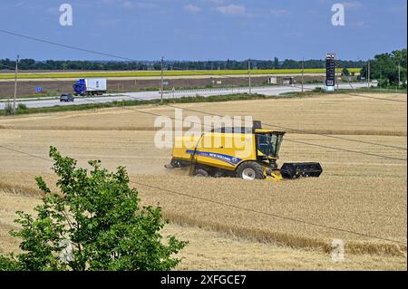 Non exclusif : RÉGION de ZAPORIZHZHIA, UKRAINE - 29 JUIN 2024 - Une moissonneuse-batteuse récolte du blé d'hiver dans le champ des vagues de Dnipro production agricole Banque D'Images