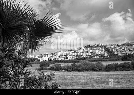 Floraison de laurier rose et maisons sur une colline sur l'île de Chypre, Chypre, monochrome Banque D'Images