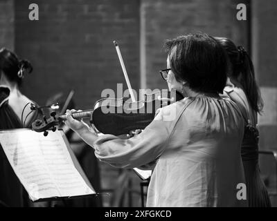 Cremona, Italie - 28 juin 2024 Cremona Summer Festival ensemble Miyaji, musicien joue du violon lors d'un concert de musique classique avec un orchestre Banque D'Images