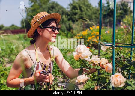 Portrait de femme Deadhead passé des hanches de rose poussant sur obélisque dans le jardin d'été. Jardinier coupant les fleurs fanées avec un sécateur. Wollerton Old Hall Banque D'Images