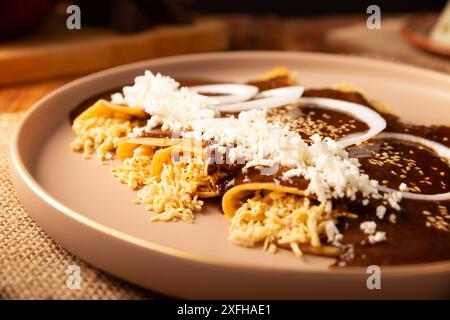 Enmoladas de poulet. Aussi connu sous le nom de mole poblano enchiladas, ils sont un plat mexicain typique qui est très populaire au Mexique et dans le reste du monde. Banque D'Images