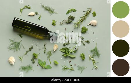 Bouteille d'huile d'olive, herbes fraîches et épices sur fond de couleur. Différents motifs de couleur Banque D'Images