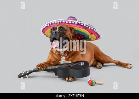 Boxer chien en chapeau sombrero avec guitare et maracas sur fond clair Banque D'Images