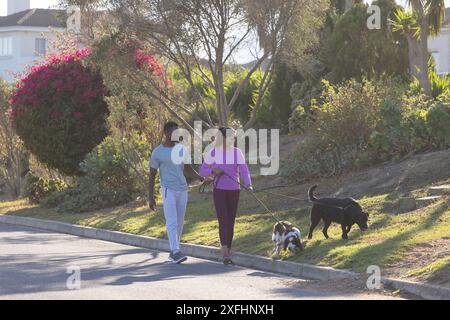 Chiens de promenade, couple profitant de la promenade en plein air dans un quartier résidentiel avec des arbres Banque D'Images